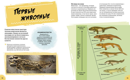 Эра динозавров. Жизнь в доисторические времена