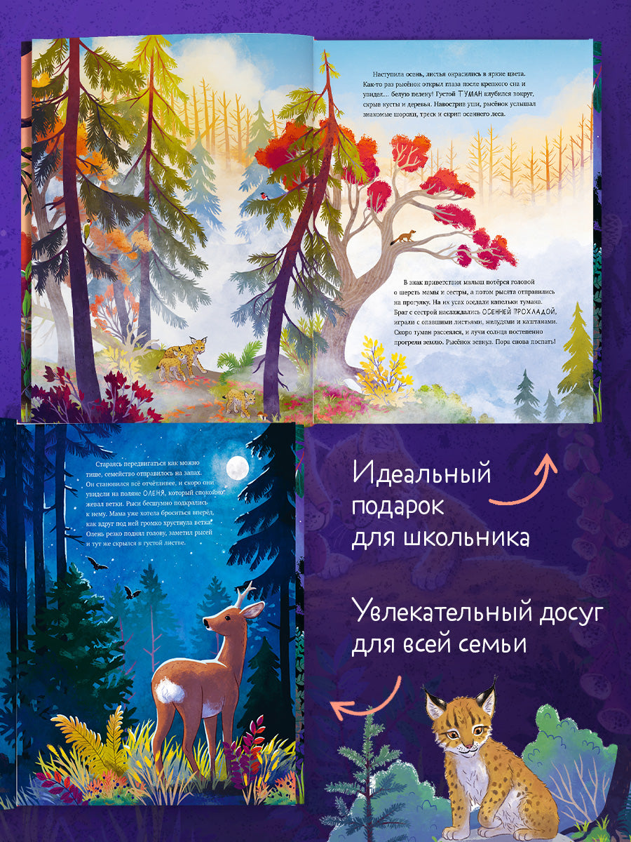 Удивительные животные. Маленький рысёнок. Приключения в лесу/Шармахер-Шрайбер К.