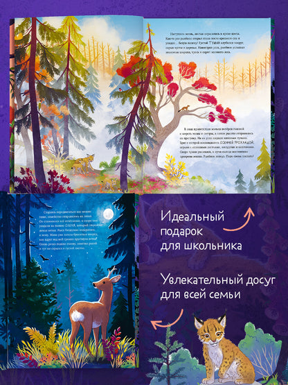 Удивительные животные. Маленький рысёнок. Приключения в лесу/Шармахер-Шрайбер К.