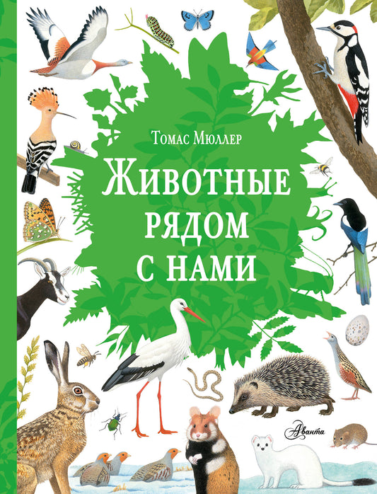 Животные рядом с нами