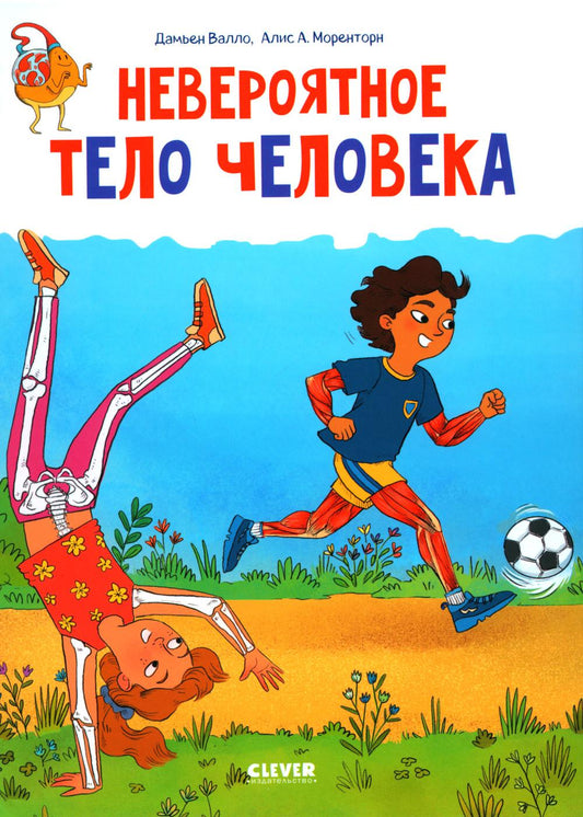 Удивительные энциклопедии. Невероятное тело человека/Валло Д.