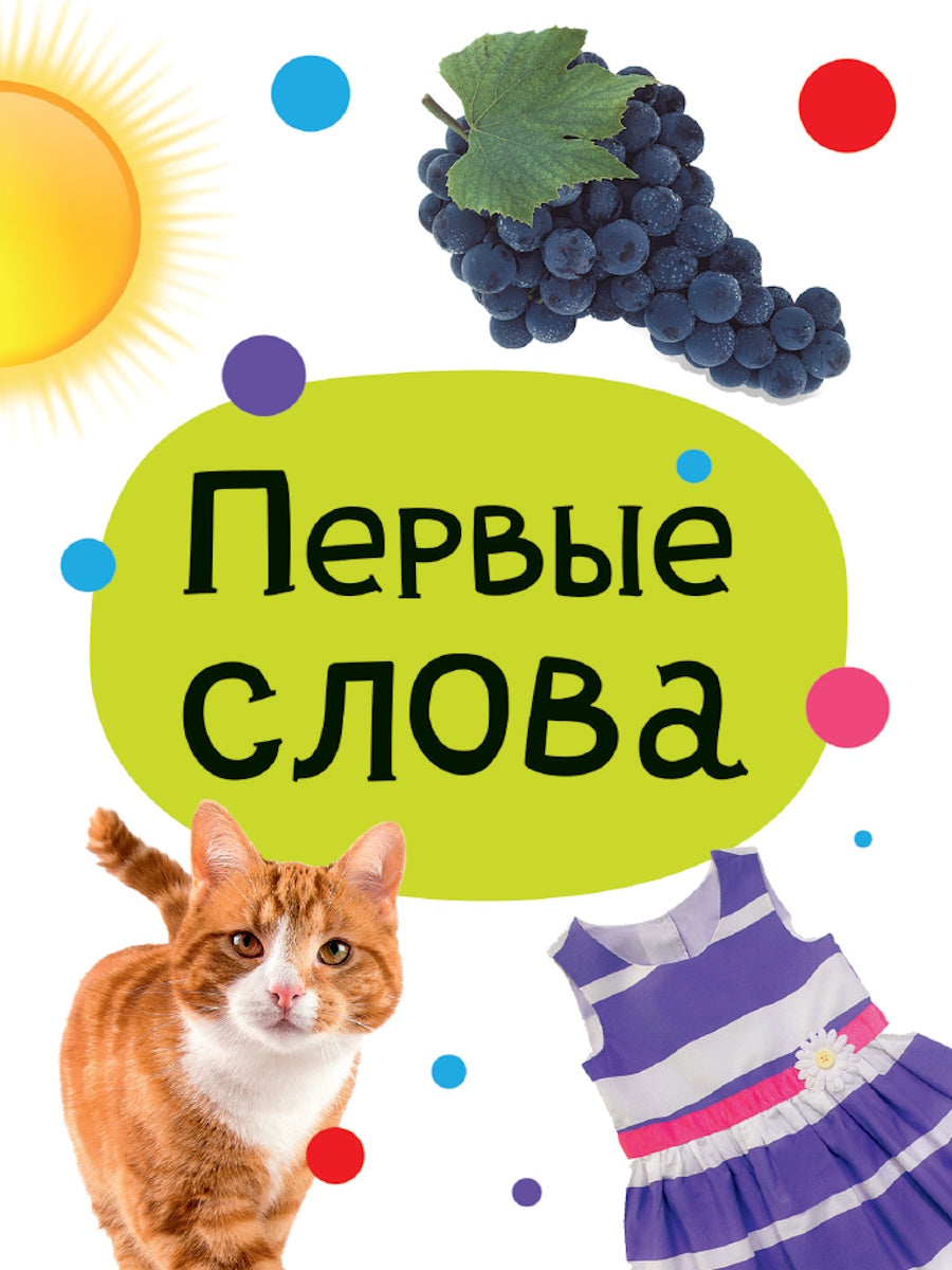 ЦК МИНИ. ПЕРВЫЕ СЛОВА