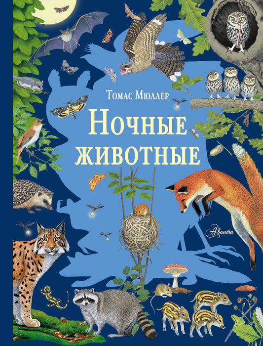 Ночные животные