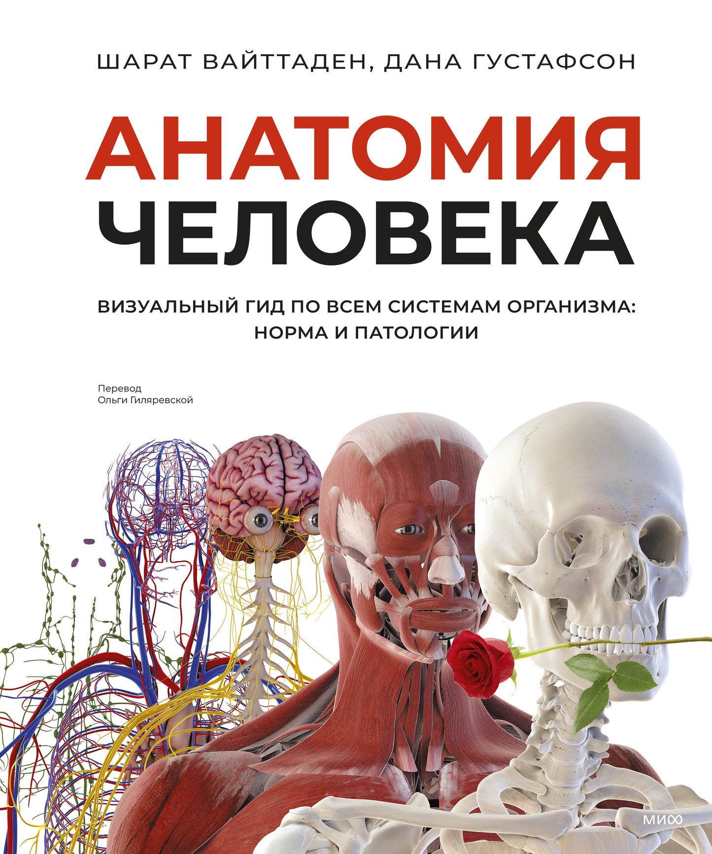 Анатомия человека. Визуальный гид по всем системам организма: норма и патологии