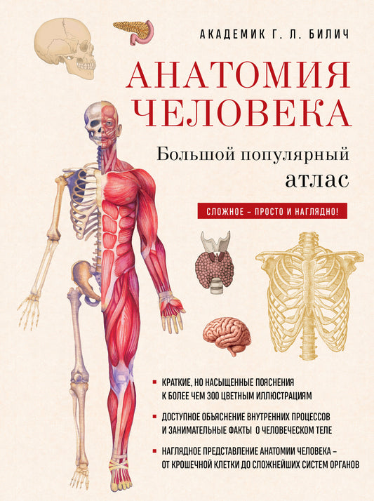 Анатомия человека: большой популярный атлас (новое оформление)