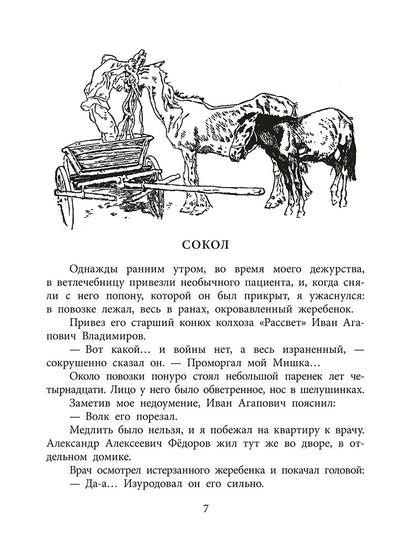 Рип.ВоенДетство.Пират,ищи!