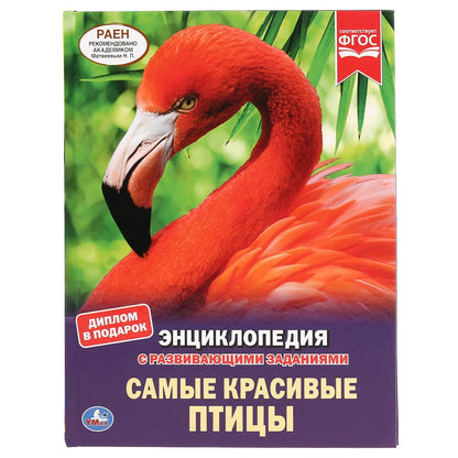 "УМКА". САМЫЕ КРАСИВЫЕ ПТИЦЫ (ЭНЦИКЛОПЕДИЯ А4 С РАЗВИВАЮЩИМИ ЗАДАНИЯМИ). ТВЕРДЫЙ ПЕРЕПЛЕТ в кор.15шт