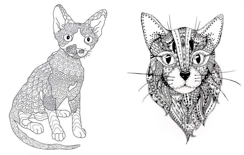Cats. Творческая раскраска замурчательных котиков