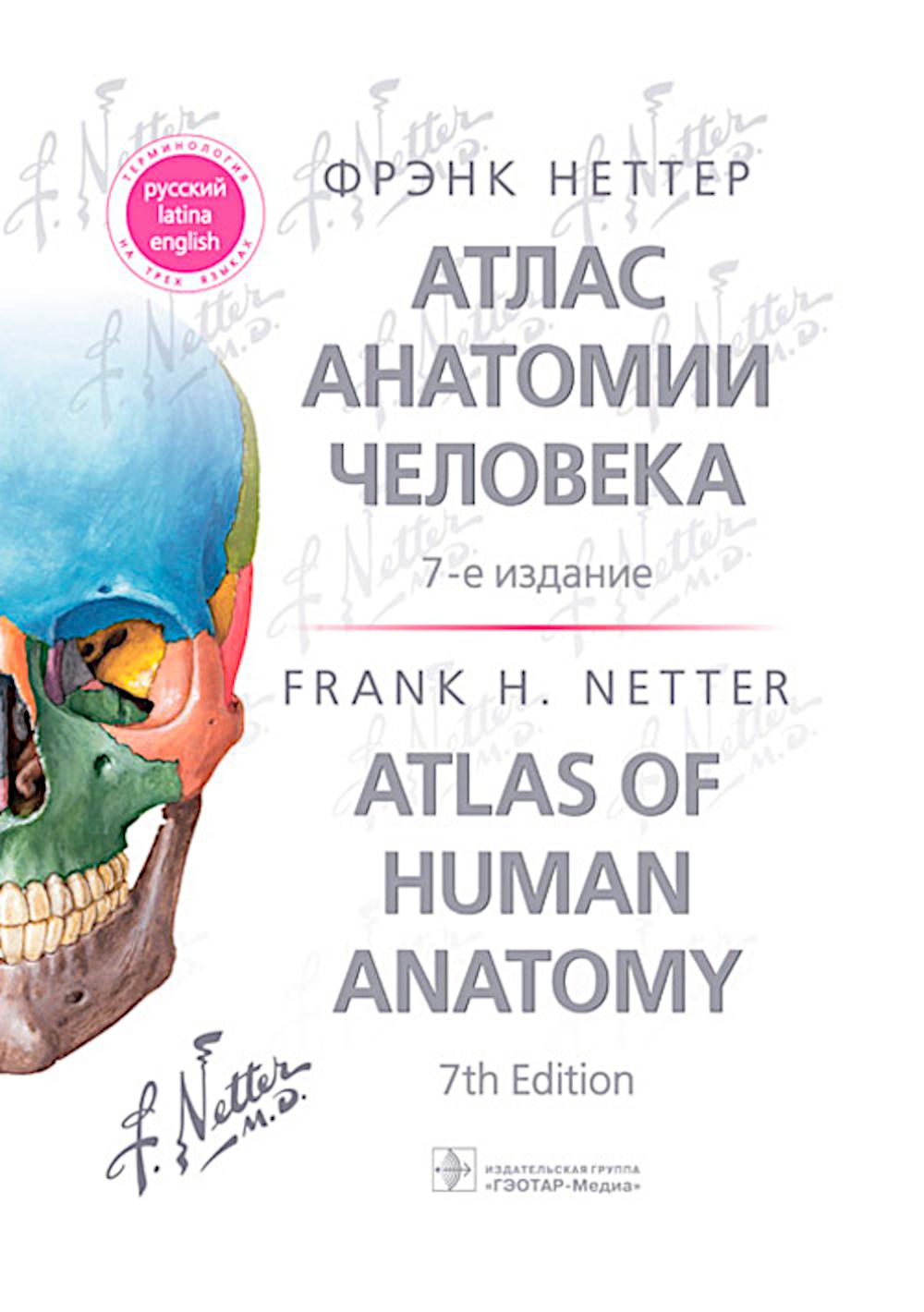 Атлас анатомии человека : терминология на русском, латинском и английском языках = Atlas of Human Anatomy : Russian, Latin and English Terminology / Фрэнк Неттер ; пер. с англ. под ред. В. Н. Николенко. — 7-е изд. — Москва : ГЭОТАР-Медиа, 2025. — 952 с. :