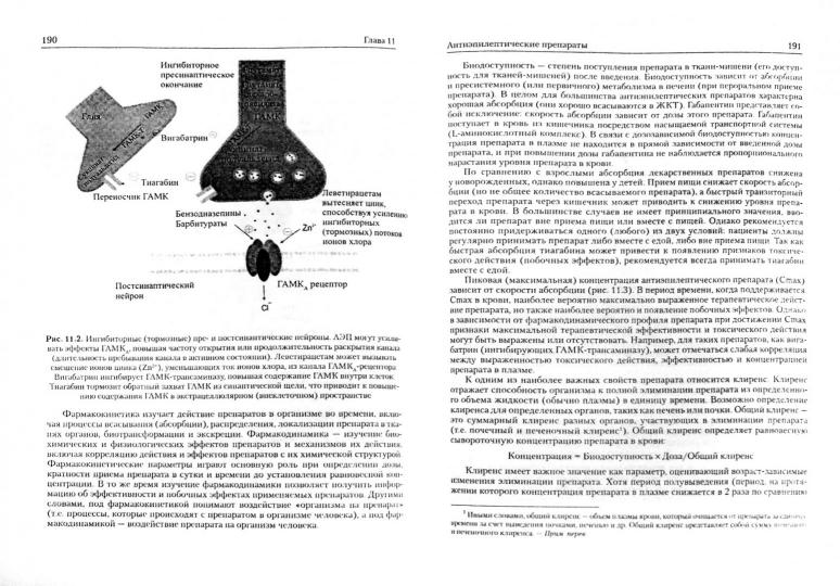 Эпилепсия. Клиническое руководство