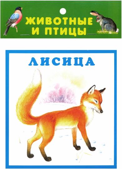 Животные и птицы (20 карточек с европодвесом)