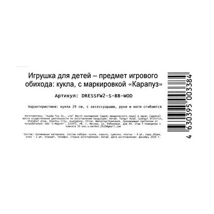 Кукла 29см София, руки и ноги сгиб., одежда, акс., кор. КАРАПУЗ в кор.18шт