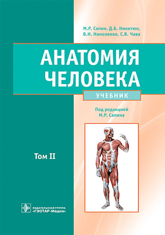 Анатомия человека : учебник : в 2 томах / М. Р. Сапин, Д. Б. Никитюк, В. Н. Николенко, С. В. Клочкова ; под ред. М. Р. Сапина. — Москва : ГЭОТАР-Медиа, 2024. — Т. II. — 464 с. : ил.