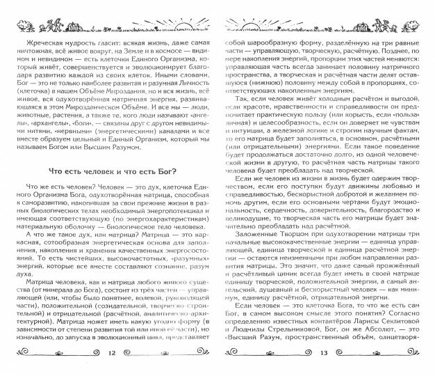 Зачем жить. Объясняющая книга