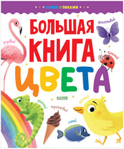 Найди и покажи. Большая книга. Цвета 6283