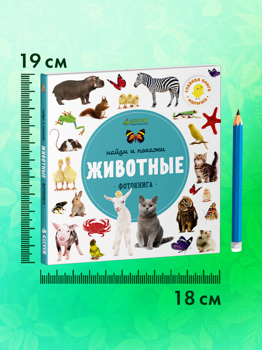 ГКМ. Найди и покажи. Фотокниги. Животные