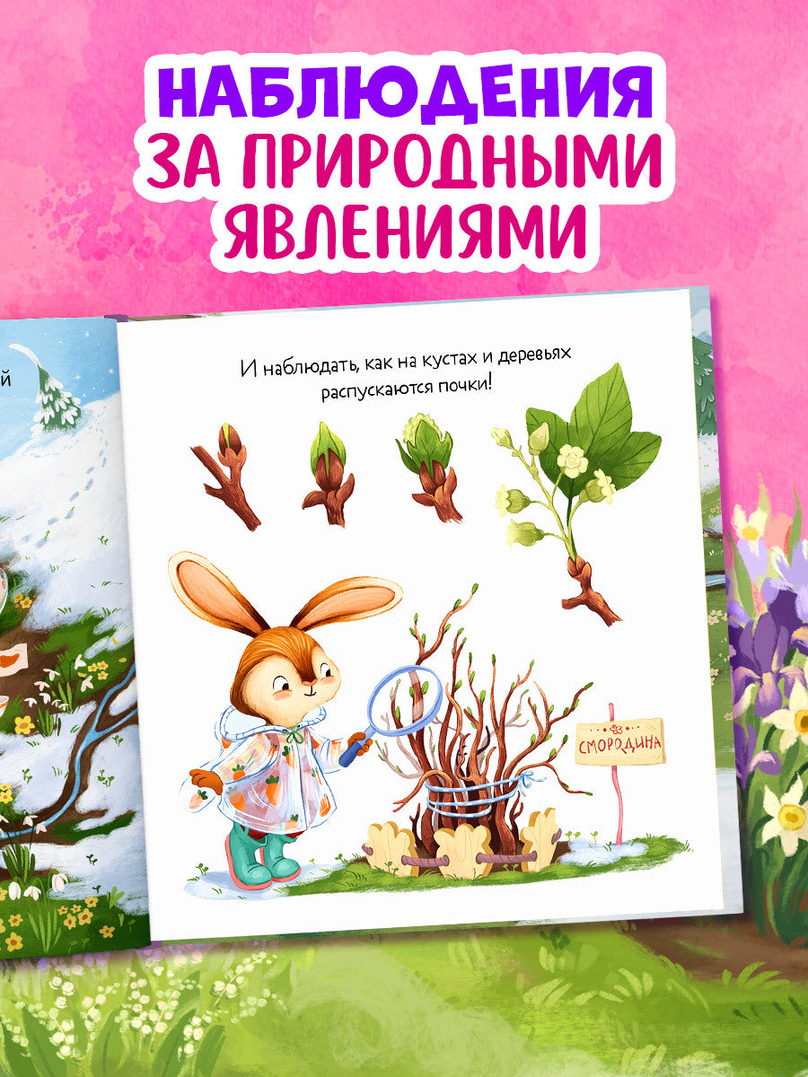 Книжки-картинки. Зайка и чудесная весна/Нет а.