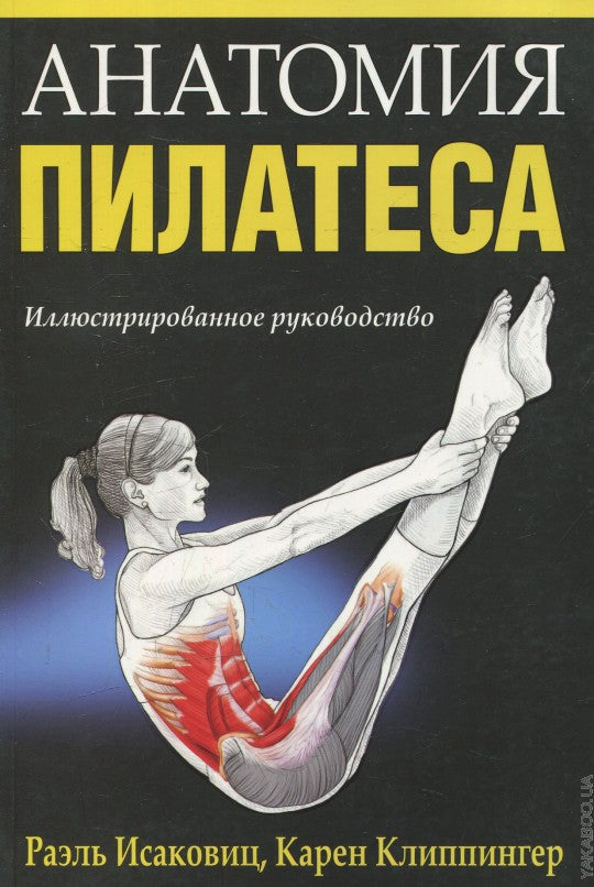 Анатомия пилатеса