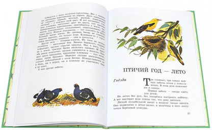 Наши птицы