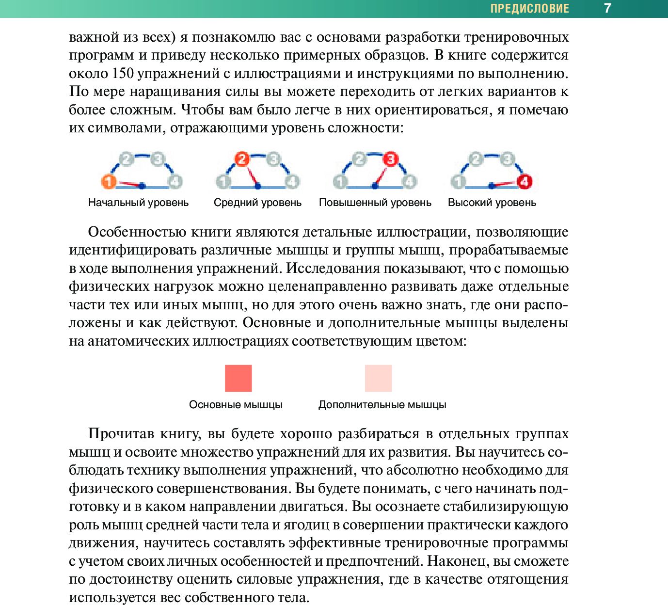 Анатомия силовых упражнений с использованием в качестве отягощения собственного веса