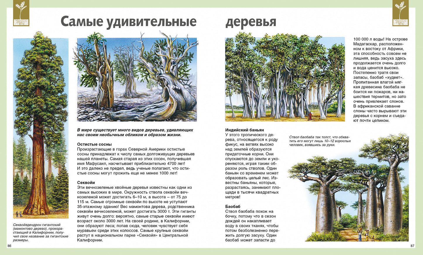 Универсальная школьная энциклопедия
