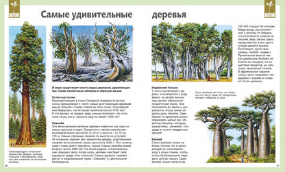 Универсальная школьная энциклопедия