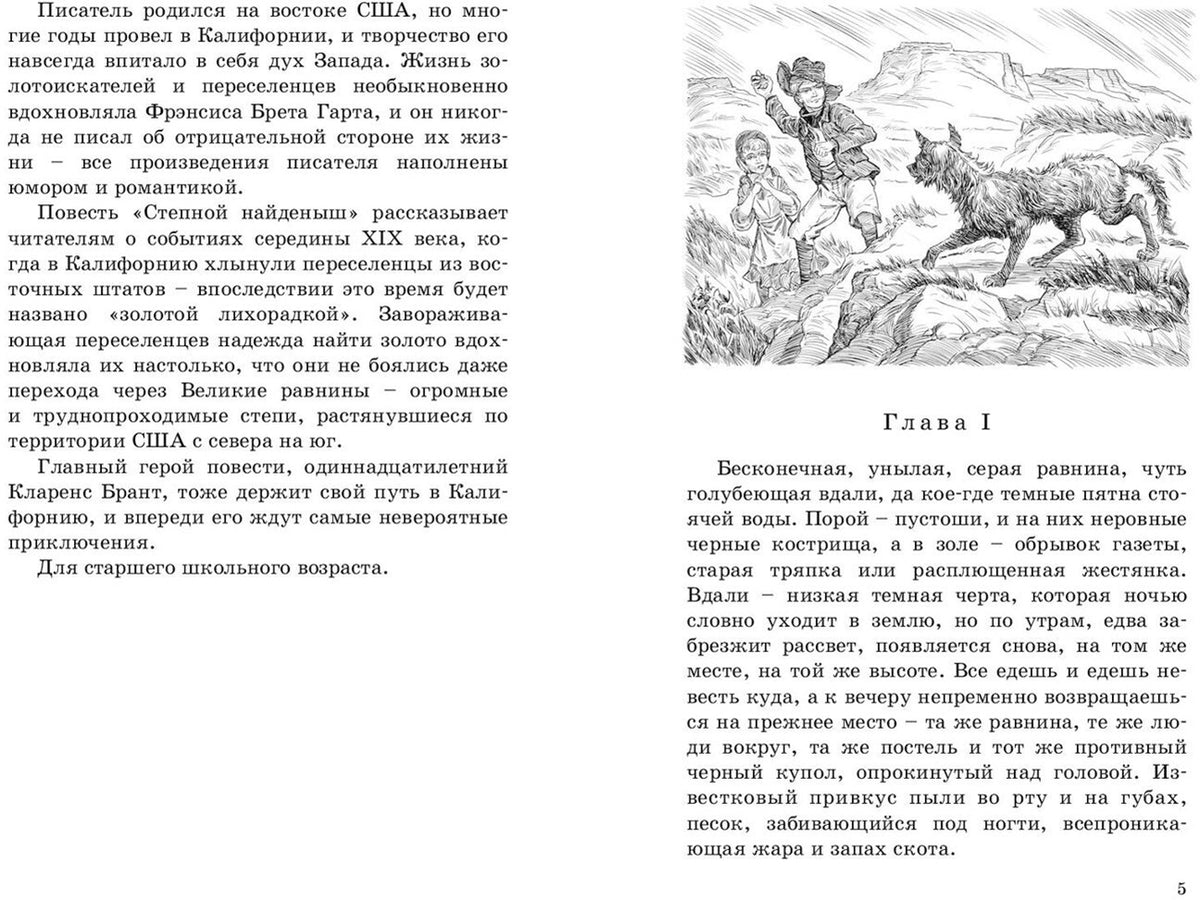 Степной найденыш (СНИЖЕНА ЦЕНА)
