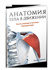 Анатомия тела в движении
