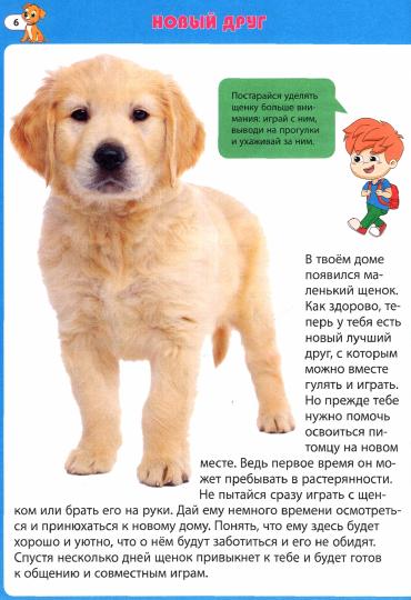Собаки. Первая энциклопедия для малышей