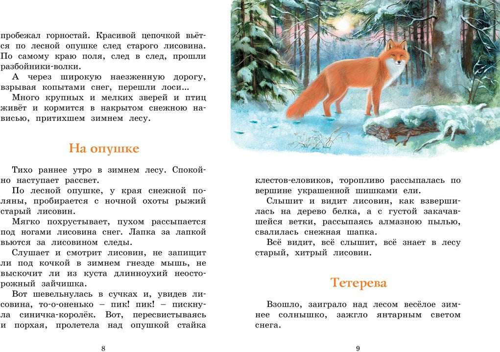 Год в лесу. Рассказы о природе