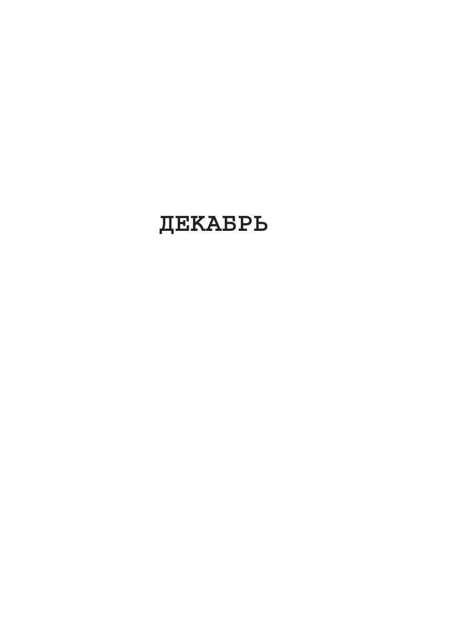 13 месяцев: роман