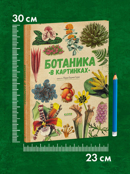 Удивительные энциклопедии. Ботаника в картинках/Сория К.