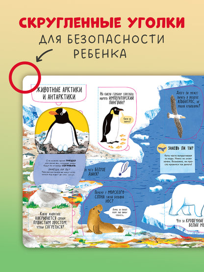 Книжка с окошками. Большая книга с окошками. Животные/Мосс Р.