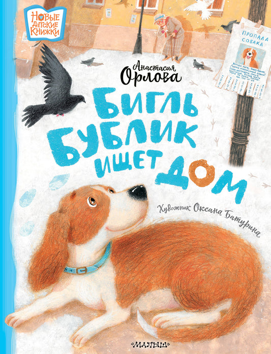 Бигль Бублик ищет дом