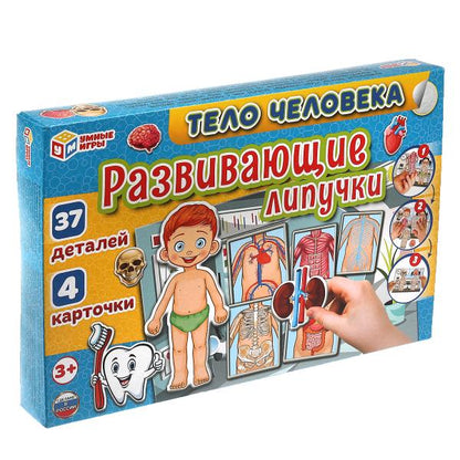 Тело человека. Игра с липучками в коробке. Умные игры в кор.20шт