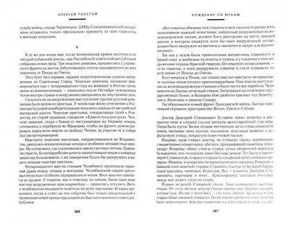Хождение по мукам