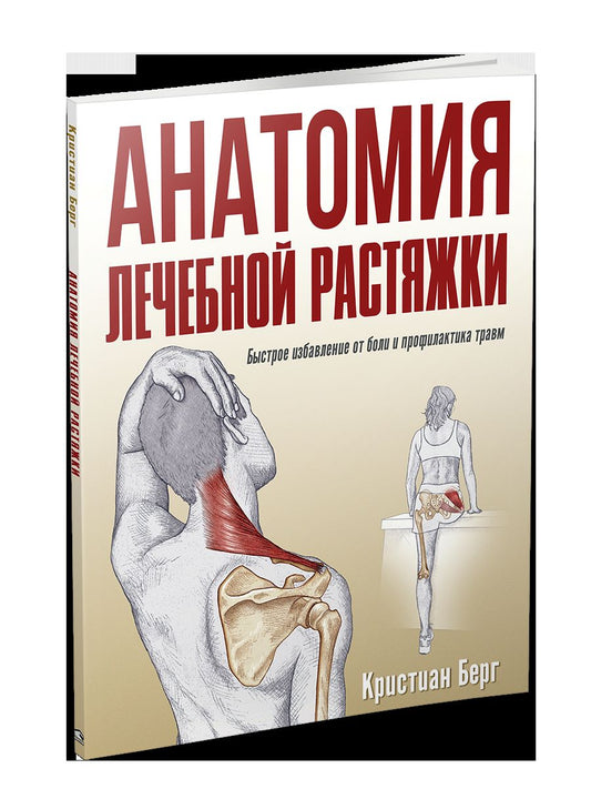 Анатомия лечебной растяжки: быстрое избавление от боли и профилактика травм