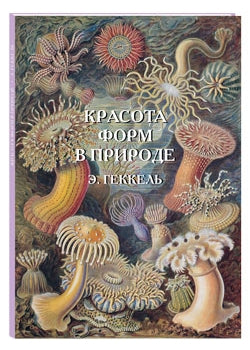Красота форм в природе. иллюстрации Э. Геккель