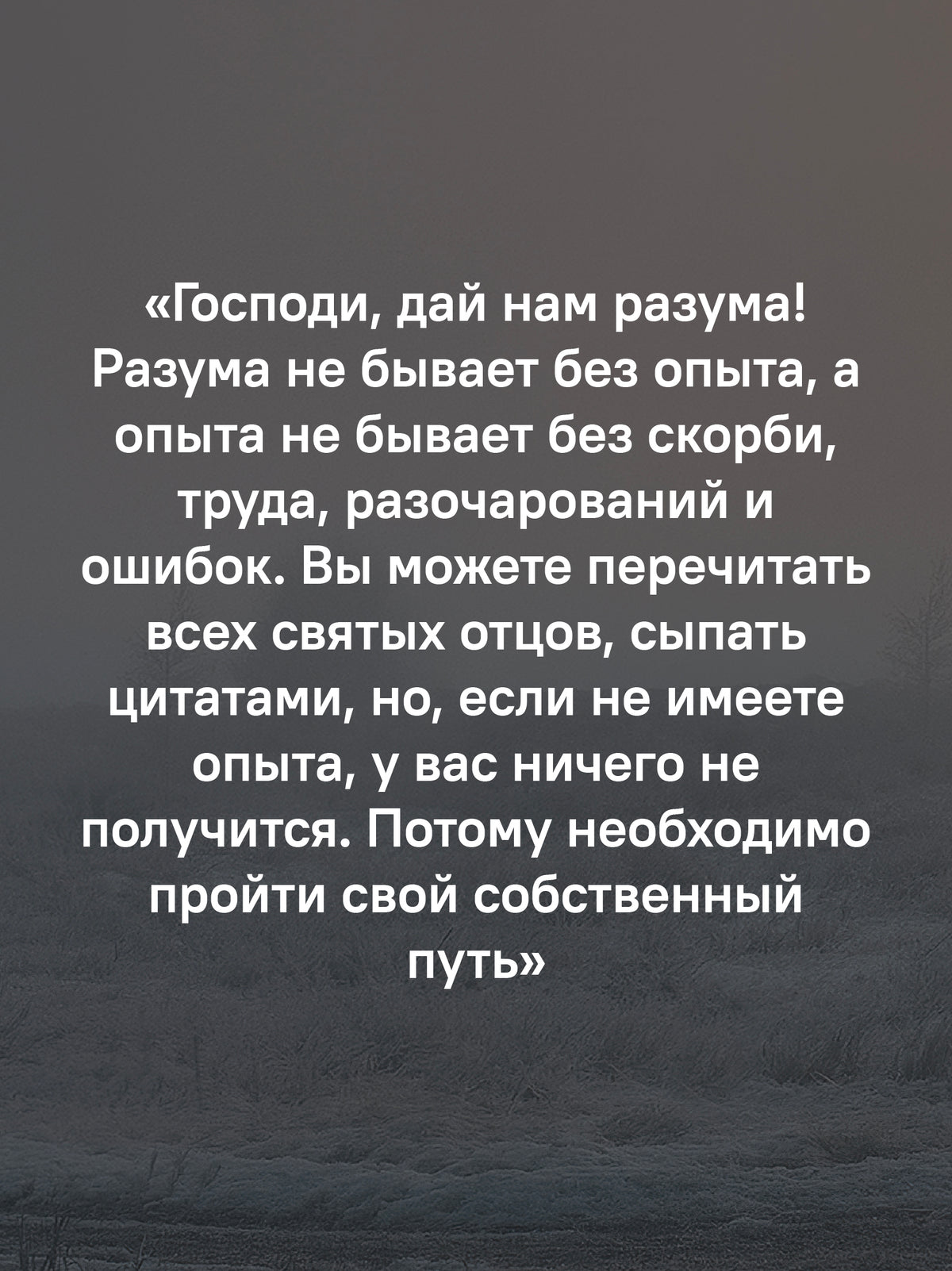 Замри и слушай