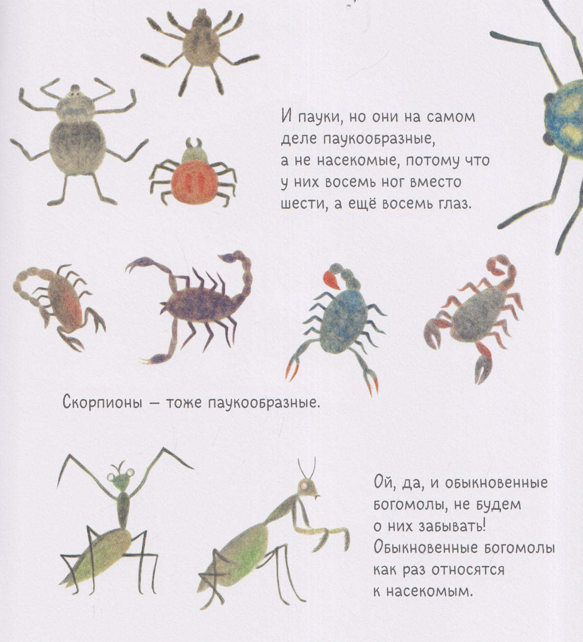 Нарисуй мне...