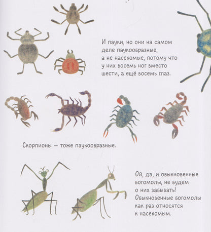 Нарисуй мне...