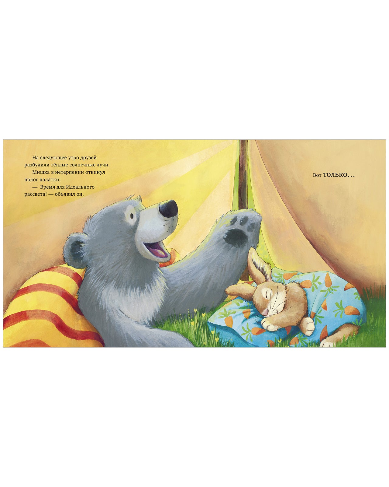 Книжки-картинки. Если всё идёт не так/Чапмен Д.
