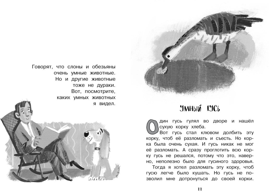 Рассказы для детей