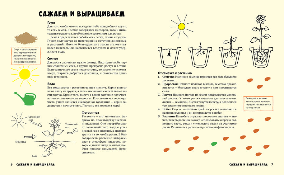 Мой первый огород. Посей, собери, съешь