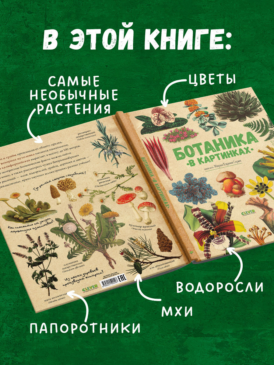 Удивительные энциклопедии. Ботаника в картинках/Сория К.