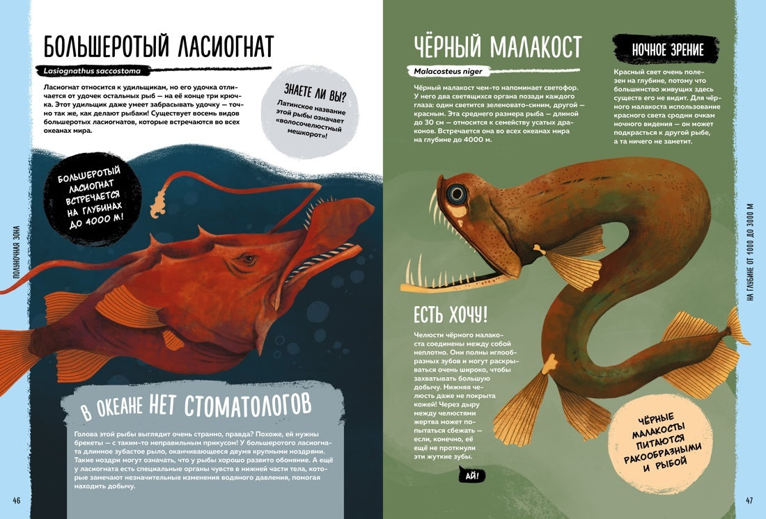 Мир вокруг тебя. Тайны мирового океана