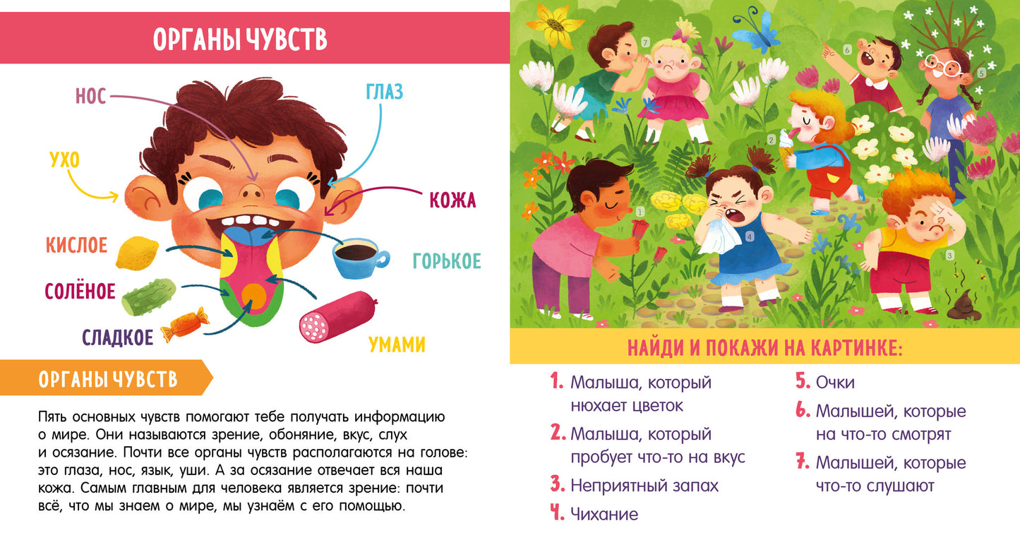 УДД 2021. Найди и покажи. Найди и покажи, малыш. Моё тело