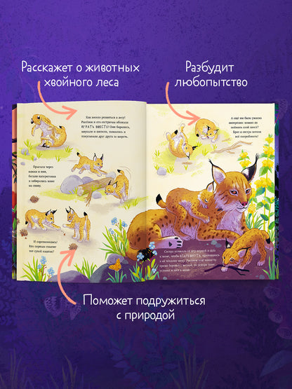 Удивительные животные. Маленький рысёнок. Приключения в лесу/Шармахер-Шрайбер К.