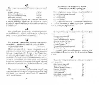 Подорожник. Мифы и реальность