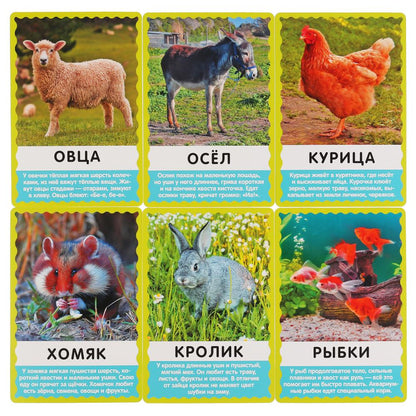 КАРТОЧКИ РАЗВИВАЮЩИЕ "УМНЫЕ ИГРЫ" ДОМАШНИЕ ЖИВОТНЫЕ. М. В. ДРУЖИНИНА. М.А. ЖУКОВА в кор.32шт